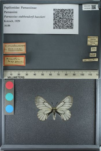 Media type: image;   Entomology 180048